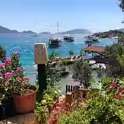 photo-1585338475469-b02ff0ec409c.avif